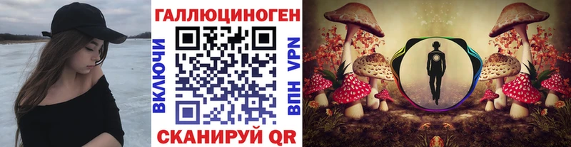 Галлюциногенные грибы мицелий  Медвежьегорск 